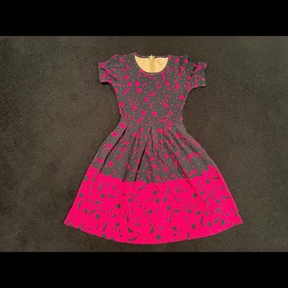 Lot of 5 Amelia LuLaRoe dresses, like new. XS SM